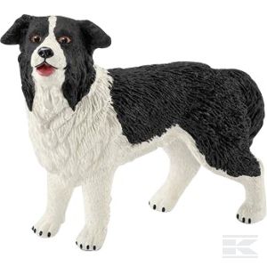 Border Collie (16840Sch) Kramp